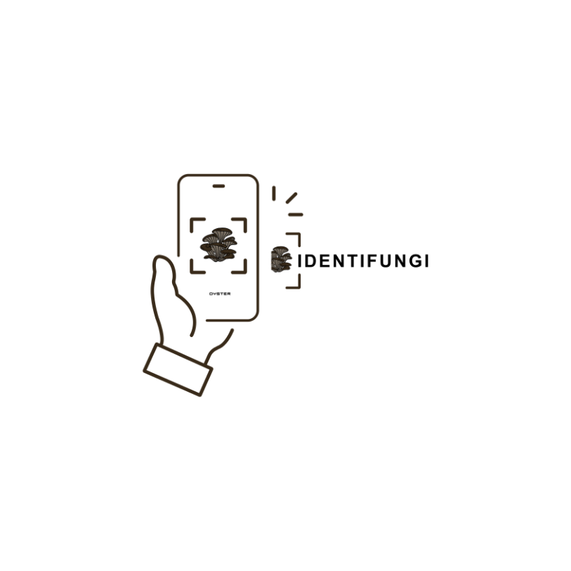 Identifungi Logo